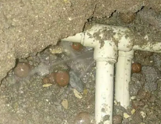 红星卫生间测漏