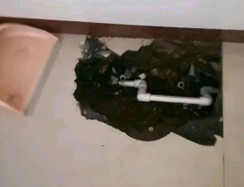 红星卫生间测漏水多少钱